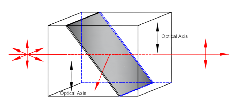 1764569974921254.png BgSub_泰勒.png